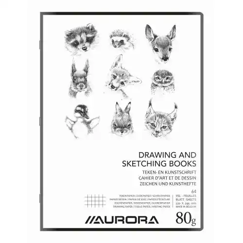 Cahier d'Art Aurora A4 29,7 x 21 cm – 16 feuillets 1 ligne Cahier d'Art Aurora A4 29,7 x 21 cm – 16 feuillets 1 ligne