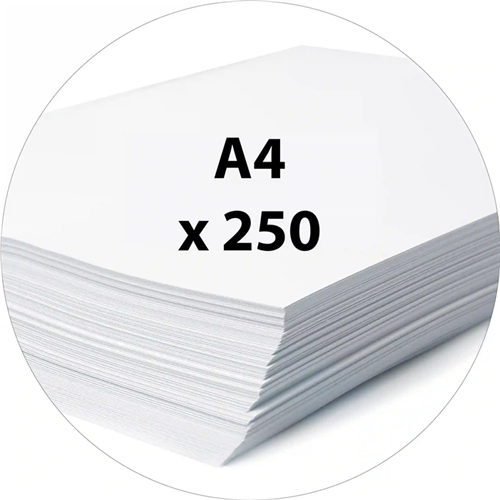 Papier dessin blanc A4 200g, 250 feuilles Papier dessin blanc A4 200g, 250 feuilles