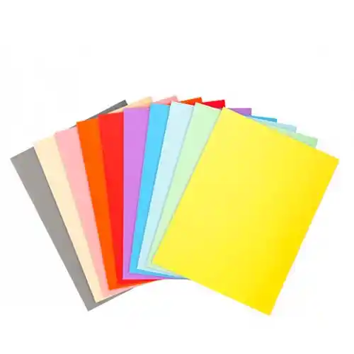 Paquet de 100 chemises Forever 170 100% recyclé 24x32cm couleurs assorties Paquet de 100 chemises Forever 170 100% recyclé 24x32cm couleurs assorties