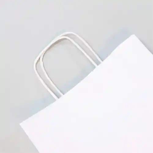 Sacs kraf blanc lisse 22 x10 x 27cm par 25 Sacs kraf blanc lisse 22 x10 x 27cm par 25