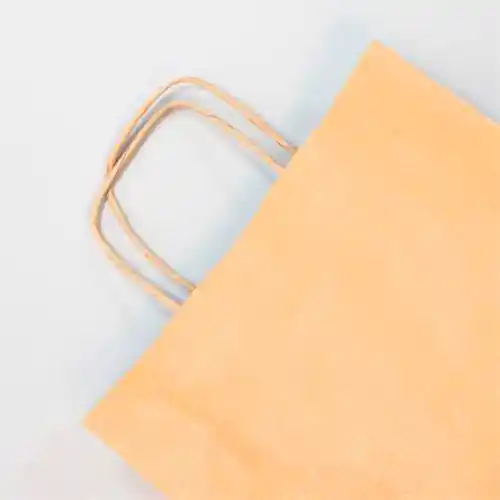 Sacs kraft brun vergé 22 x10 x27cm par 25 Sacs kraft brun vergé 22 x10 x27cm par 25